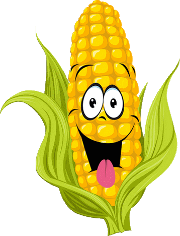 épis de maïs