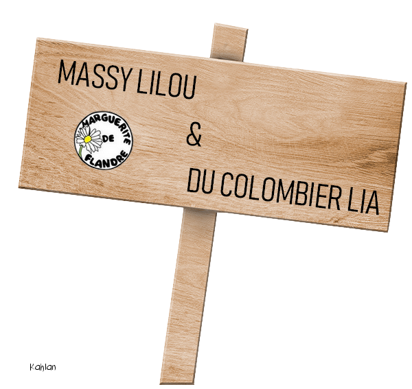 DU COLOMBIER LIA & MASSY LILOU